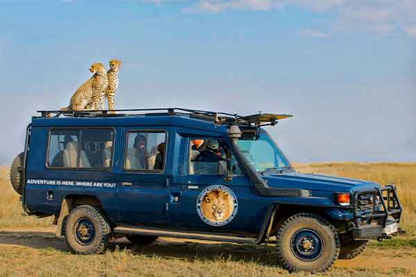 6 Days Safari Adventure