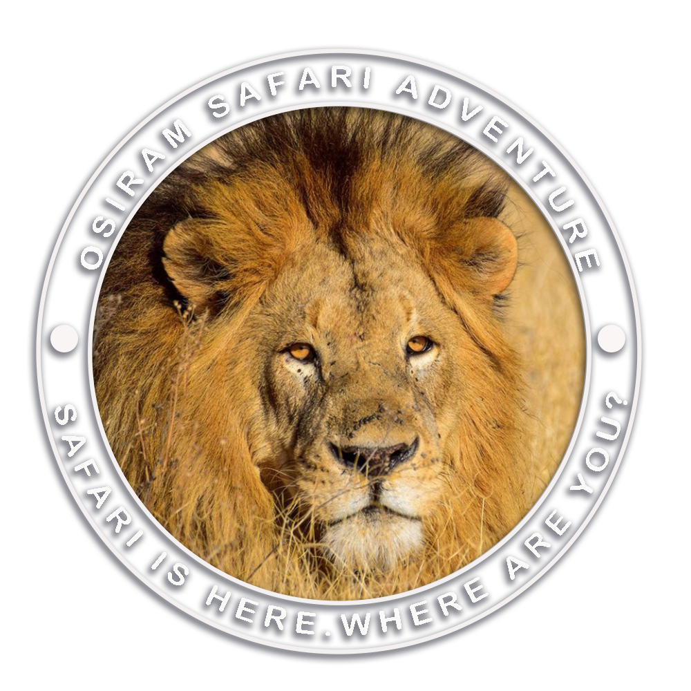 Osiram Safari Adventure