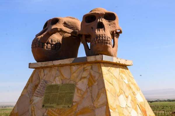 5 Days Safari Adventure